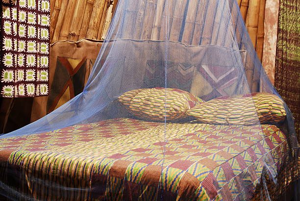 Mosquito net for bed